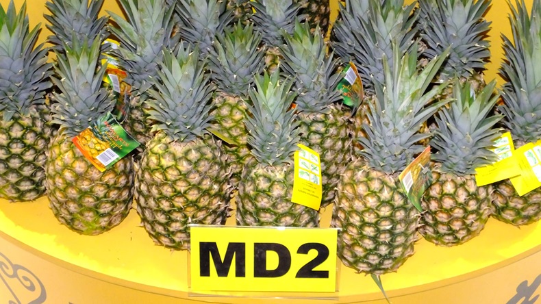 MD2 pineapples