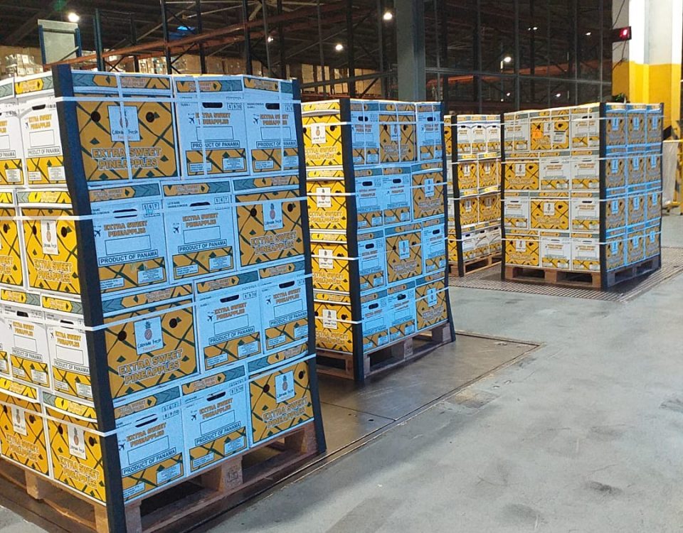 Colorada Fresh Pineapples air export boxes